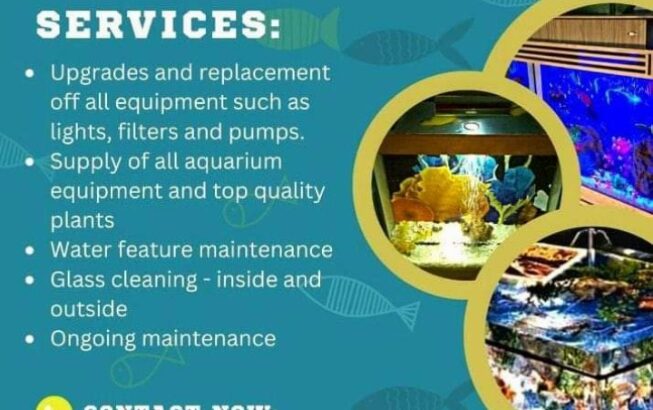 DHC Aquarium service