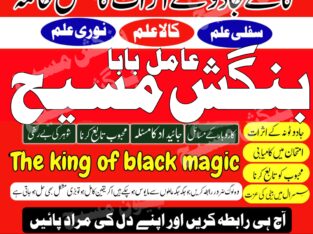 Famous amil baba bangash mashi kala jadu specialist