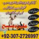 Amli Baba in Pakistan kala judu contact number23072726997 amli baba in dubi amli baba in contact number23072726997 Amli baba in lasama Baad