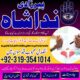 VARITABLEl Kala jadu Taweez for love spell control in France 03193541014 @sifli ilam karachi amil baba