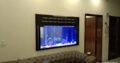 Best wall fitted aquarium