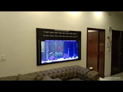 Best wall fitted aquarium