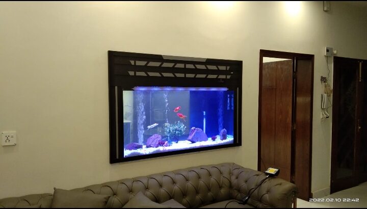 Best wall fitted aquarium