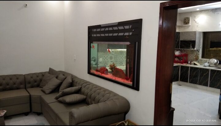 Best wall fitted aquarium