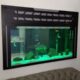 Best wall fitted aquarium