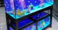 Triple breeding aquarium system