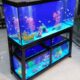 Triple breeding aquarium system