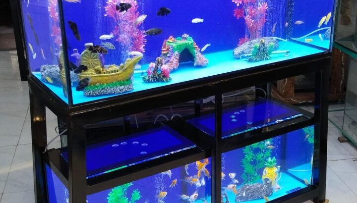 Triple breeding aquarium system