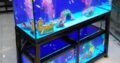 Triple breeding aquarium system