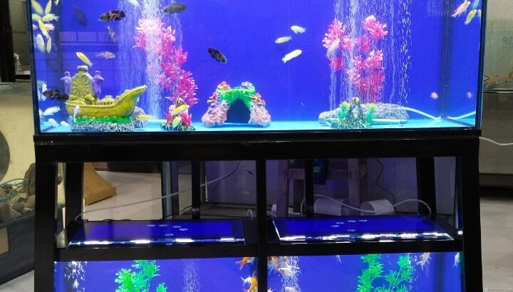 Triple breeding aquarium system