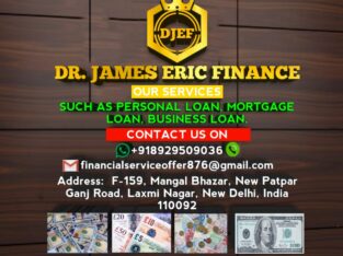 GUARANTEED LOAN +918929509036