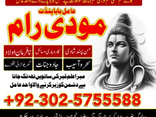 super authentic amil baba in canada,amil baba in karachi,amil baba in usa,amil baba in lahore+923025755588