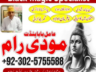 super authentic amil baba in canada,amil baba in karachi,amil baba in usa,amil baba in lahore+923025755588