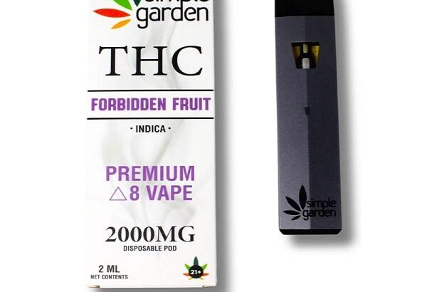 Delta-8 THC Disposable Vape 2000mg Price In karachi – 03001597100